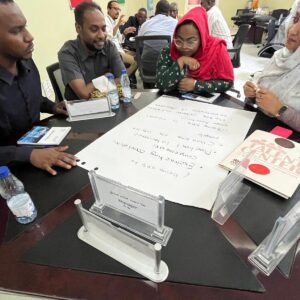 Sudani Training Program
